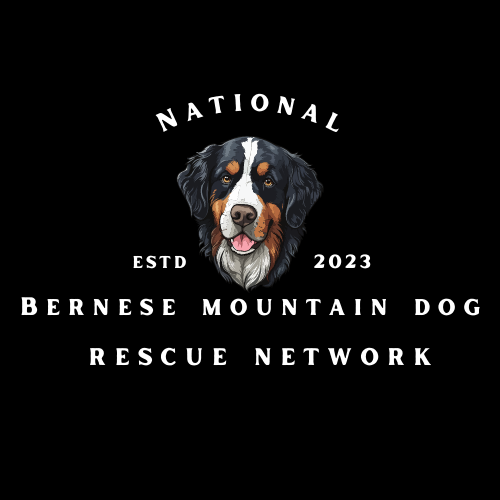 National Bernese Mountain Dog Rescue Network